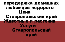 передержка домашних любимцев недорого › Цена ­ 250 - Ставропольский край Животные и растения » Услуги   . Ставропольский край